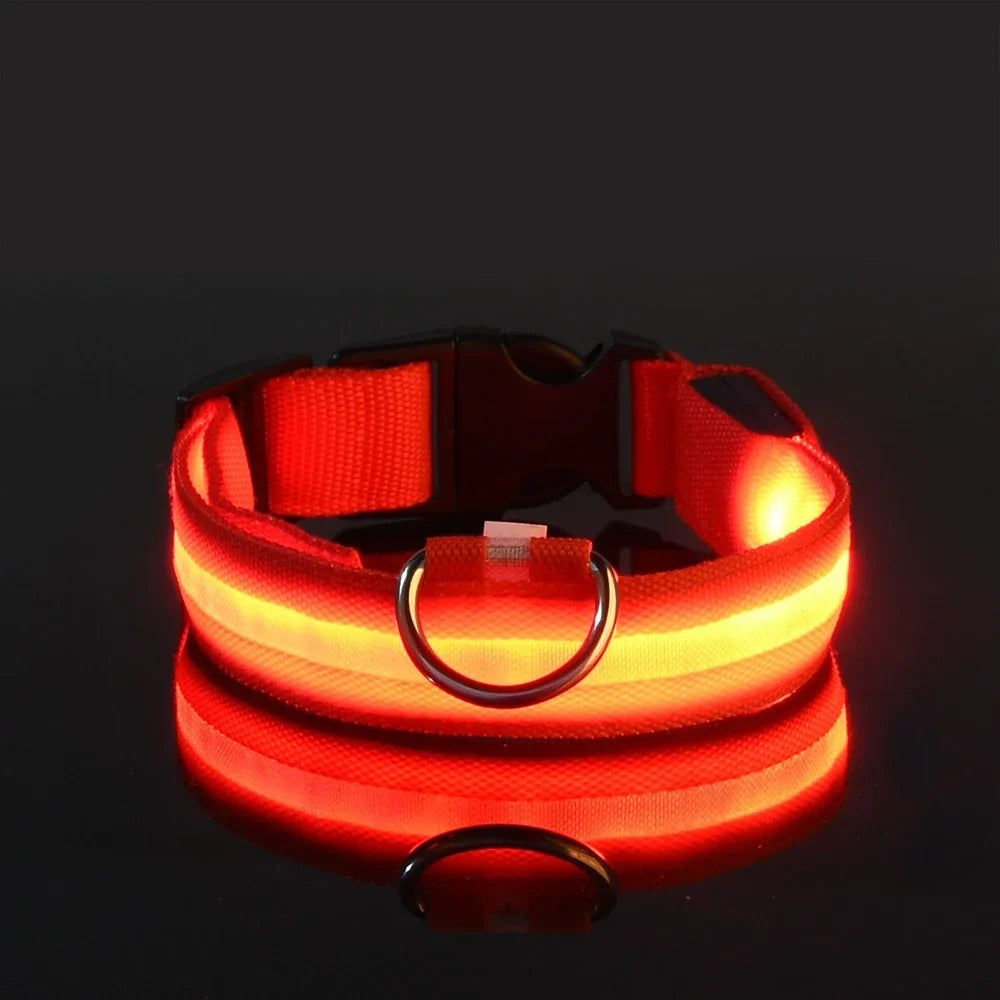 LED Dog Collar Nylon Glow In The Dark Safety