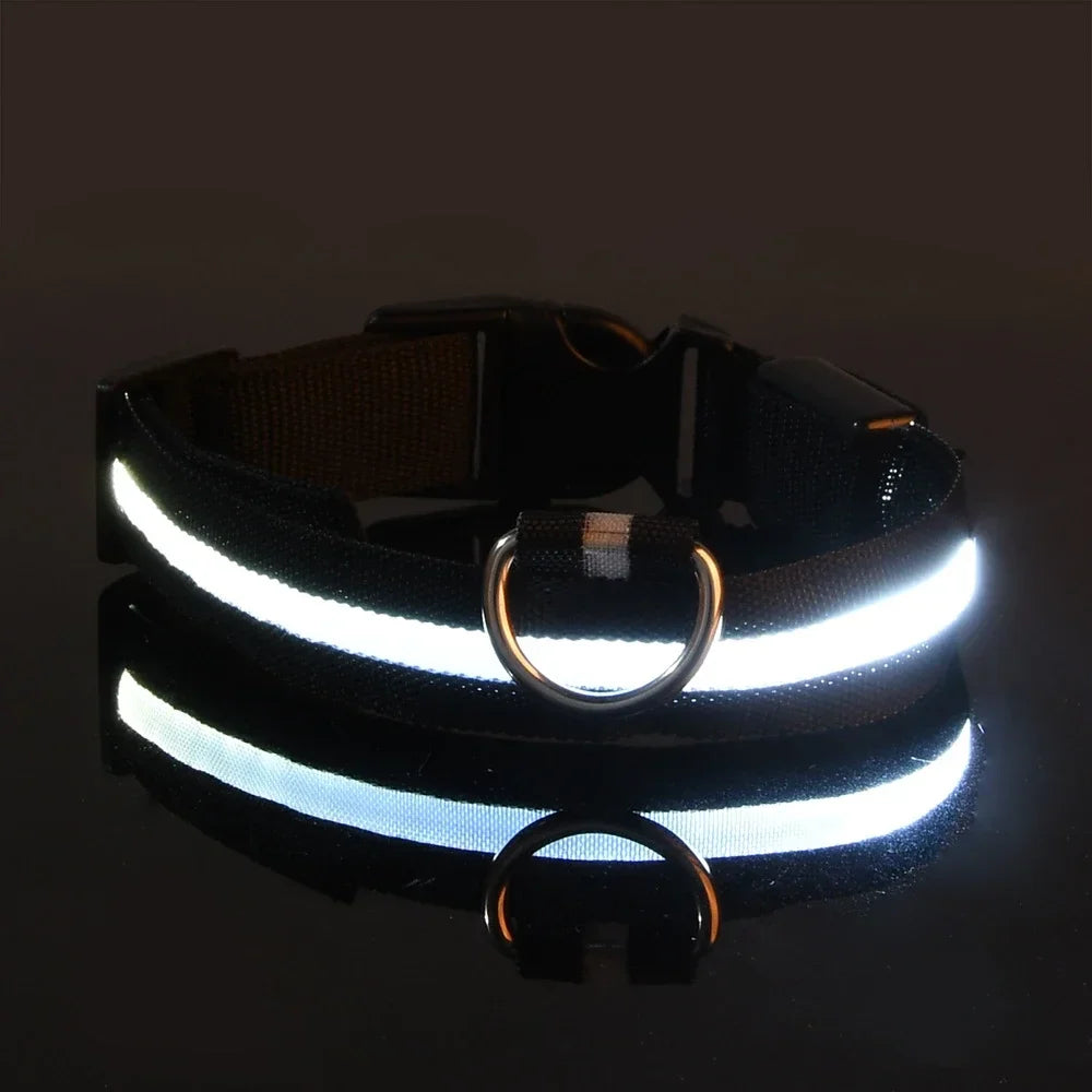 LED Dog Collar Nylon Glow In The Dark Safety