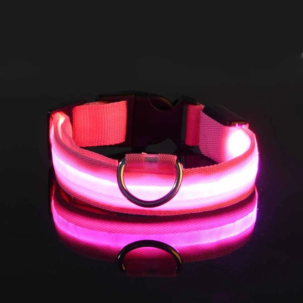 LED Dog Collar Nylon Glow In The Dark Safety