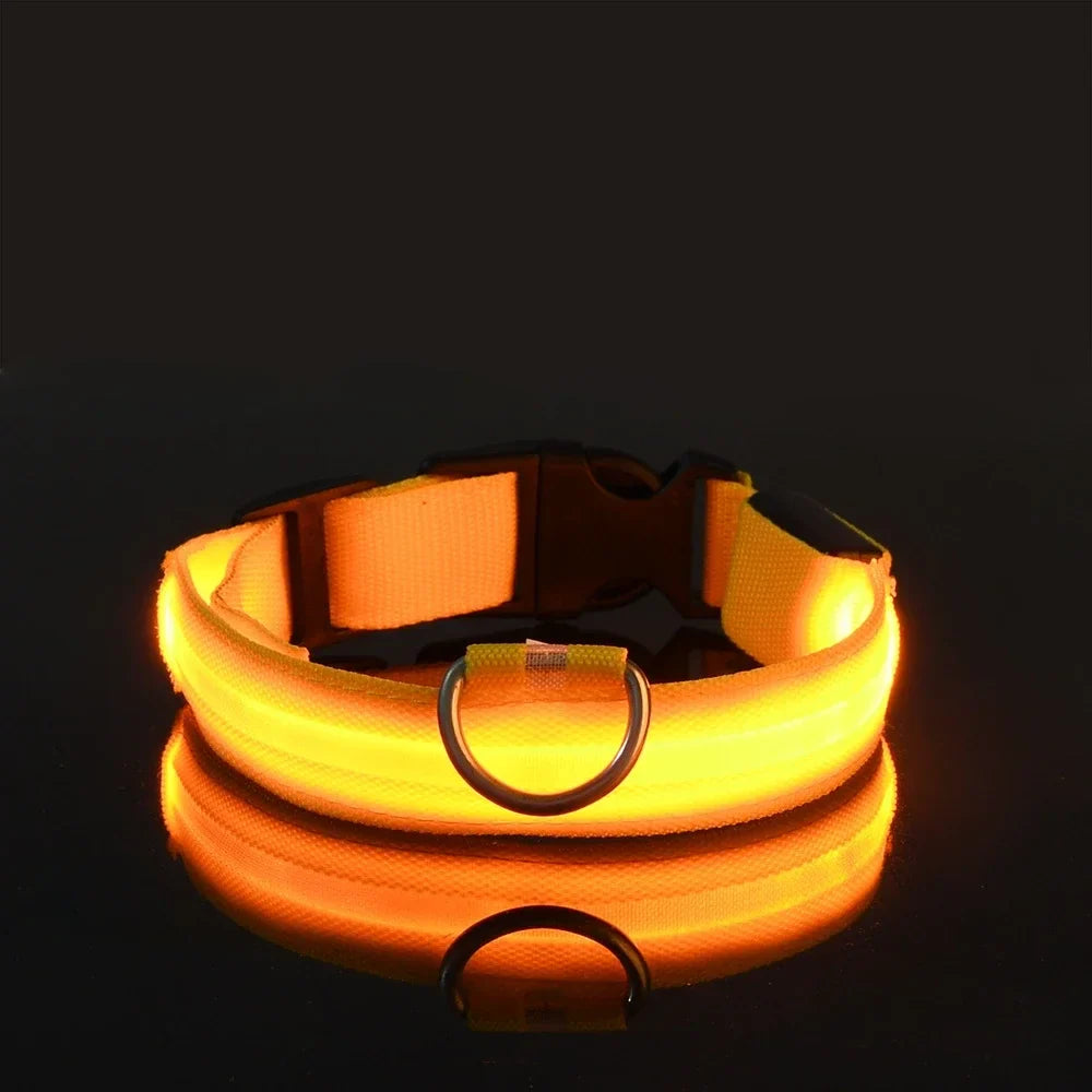 LED Dog Collar Nylon Glow In The Dark Safety