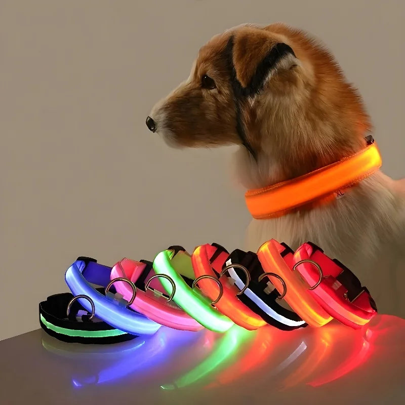 LED Dog Collar Nylon Glow In The Dark Safety