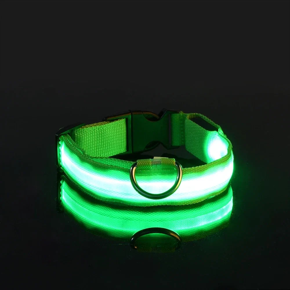 LED Dog Collar Nylon Glow In The Dark Safety