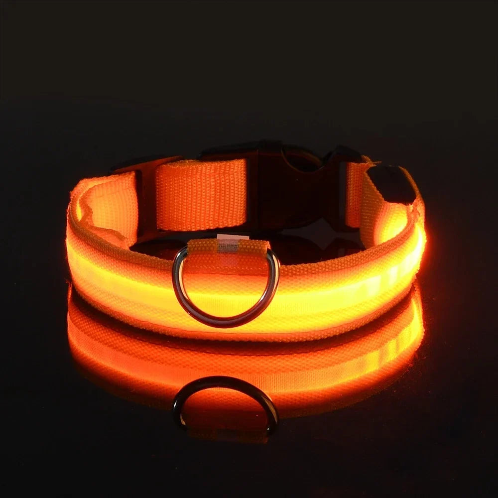 LED Dog Collar Nylon Glow In The Dark Safety